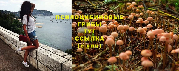 ешки Алексеевка