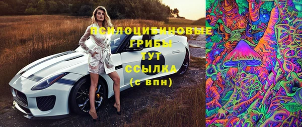 сатива Покровск