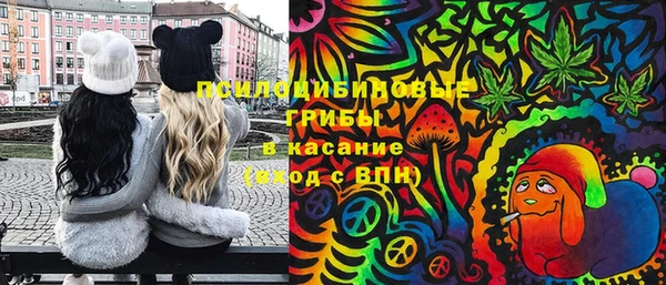 сатива Покровск