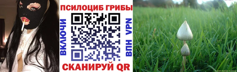 Псилоцибиновые грибы Magic Shrooms  мега маркетплейс  Краснокамск  наркошоп 