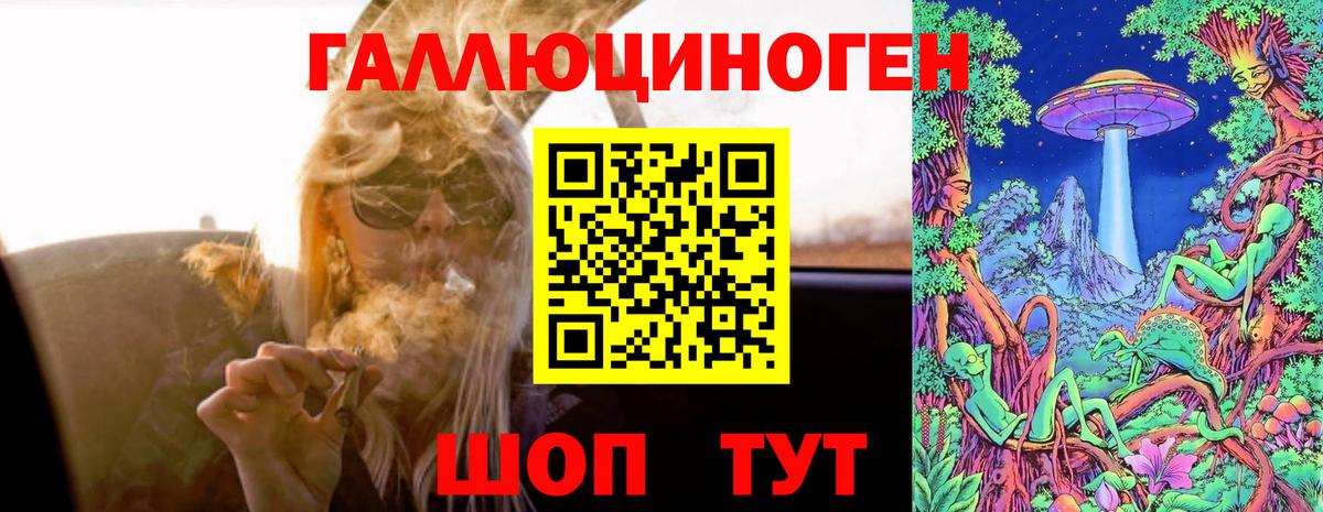 Псилоцибиновые грибы Psilocybine cubensis Краснокамск