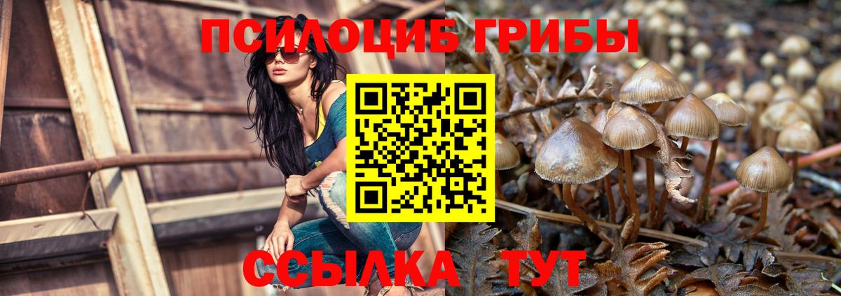 Псилоцибиновые грибы Psilocybine cubensis  Вход с VPN  как найти закладки  Краснокамск 